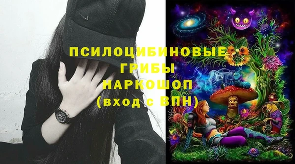 сатива Волосово