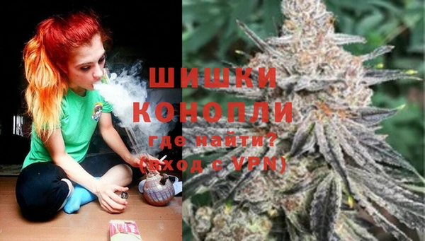 сатива Волосово